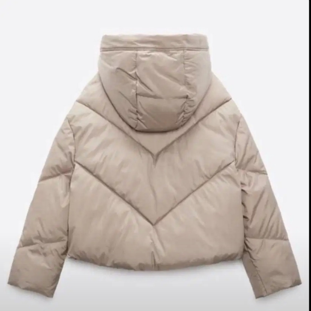 Brand new zara short puffer jacket - Picture 3 of 7
